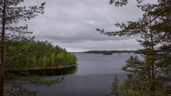 Ģimenes laiks: kā kopā pavadīt kvalitatīvu laiku